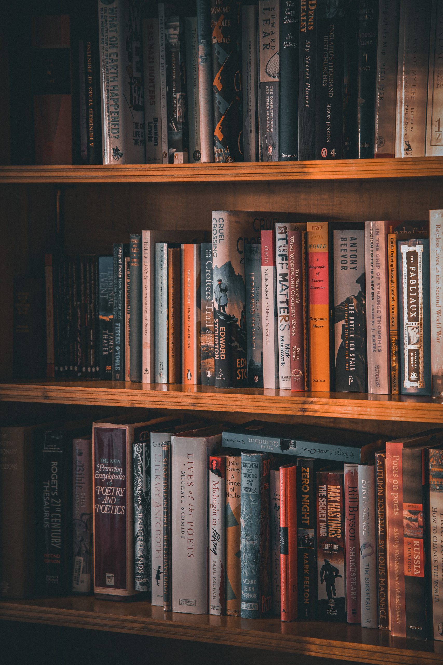 biografia de empreendedores, história de vida; empresários brasileiros; empreendedores de sucesso